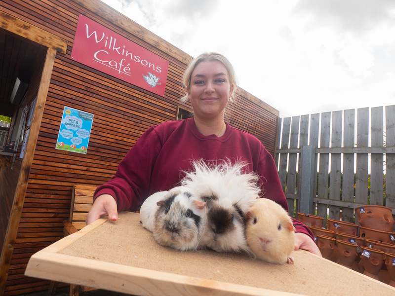 Cafe manager Milli with guinea pigs Eric, Mabel and Maeve
