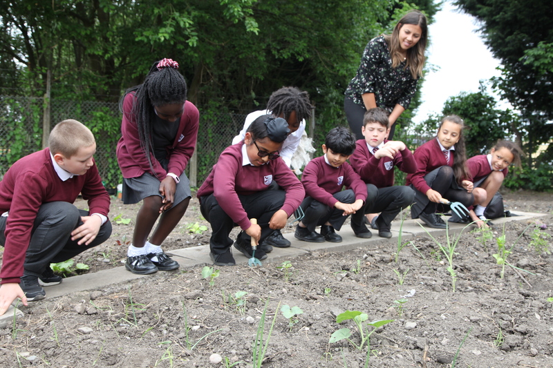 Trinity Primary School at Back to Eden allotment