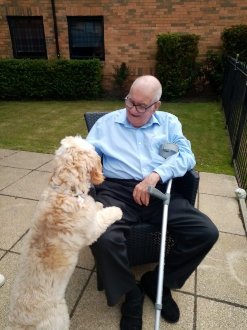 Bailey the Cockapoo with a resident at the home