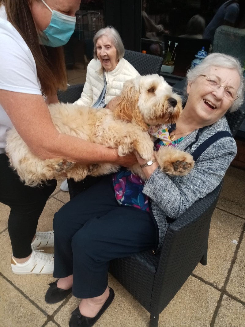 Bailey the Cockapoo with residents at the home