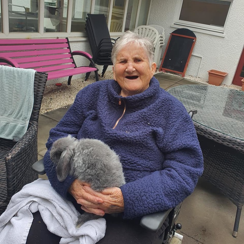 Avonbridge residents regularly enjoy visits from pet therapy specialists