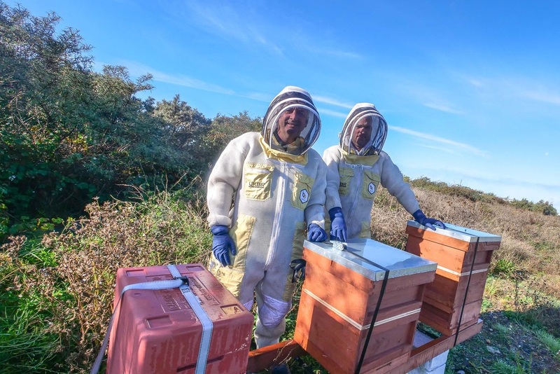 L-R: Peter Scott and Sean Mooney with the hives that provide a ‘foster’ home for rescued bees on the remediated land on Teesside