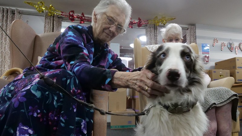 Isla visits Riverside House care home regularly to provide animal therapy sessions