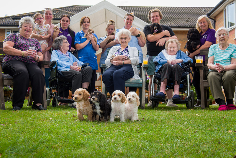 Residents and staff enjoy the puppies 