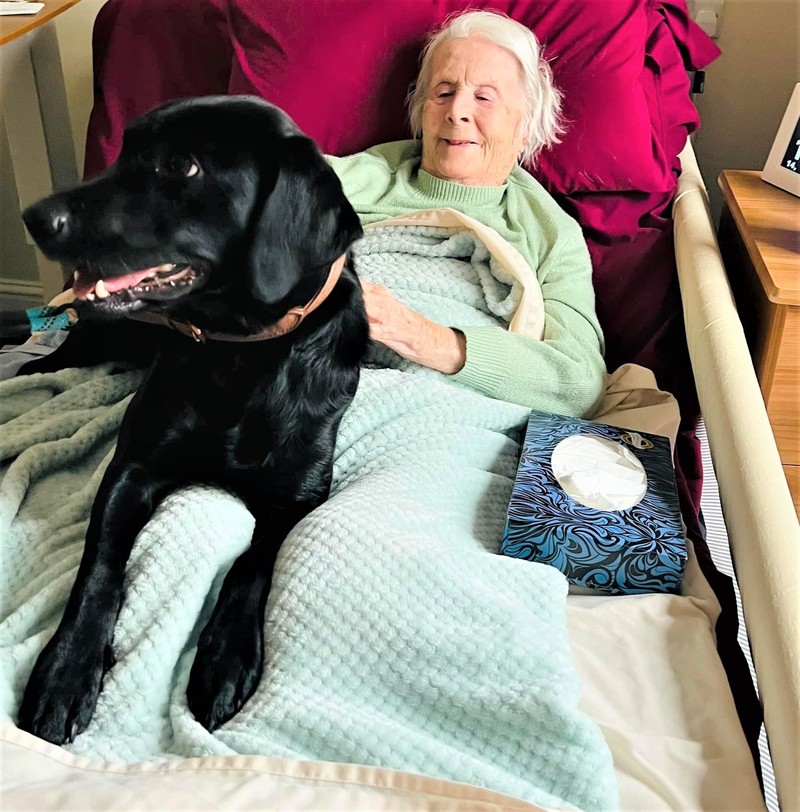 READING CARE HOME WELCOMES A FURRY FRIEND