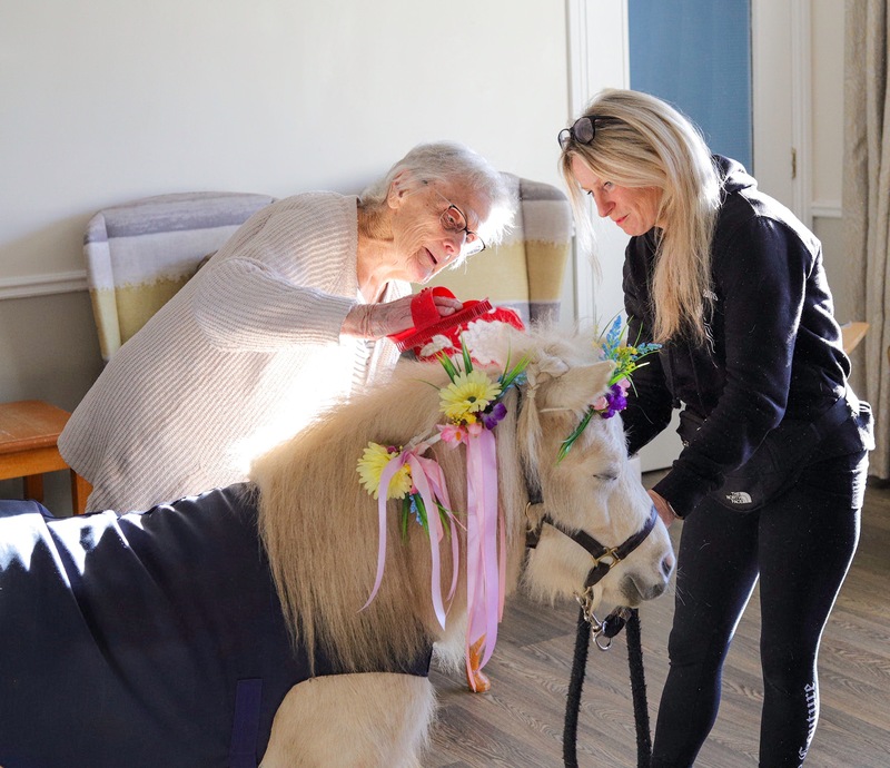Mini pony gallops into the hearts of care home residents 
