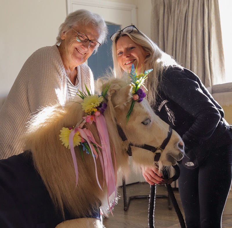 Mini pony gallops into the hearts of care home residents 