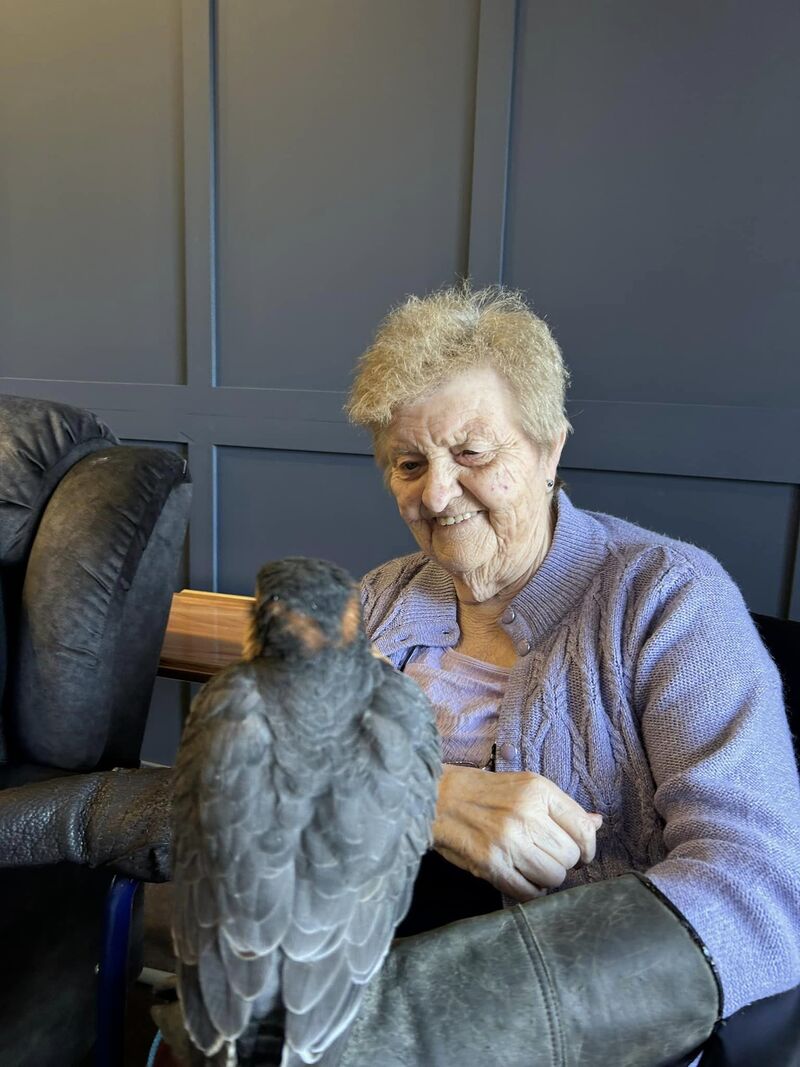 Feathered friends pay a flying visit to Taunton care home