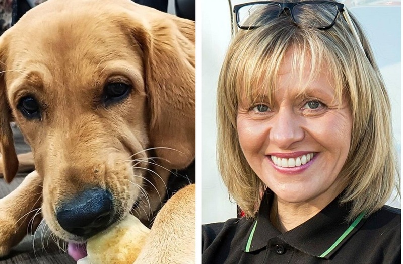 Guide Dogs pup Ralph and Julie Anson-Boynton of Ovenu Lichfield