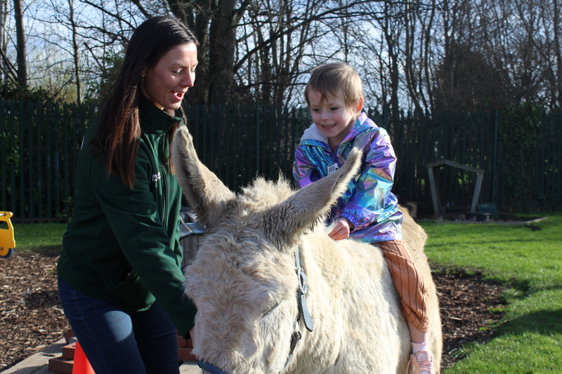 children at the nurseries met a variety of farm animals including donkeys, goats and lambs 