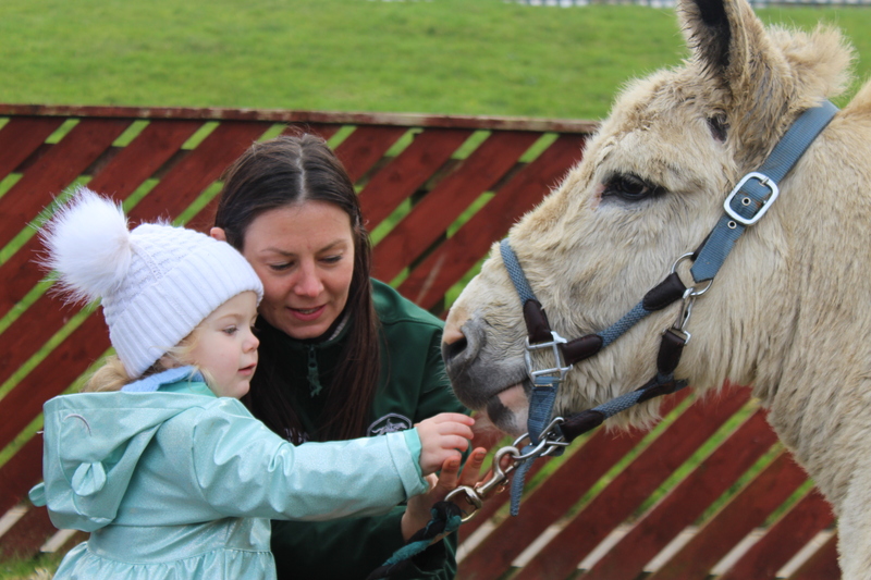 children at the nurseries met a variety of farm animals including donkeys, goats and lambs