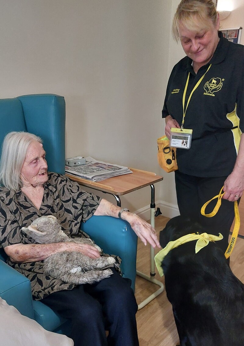 Therapy dog bring joy and comfort to Ely care home residents