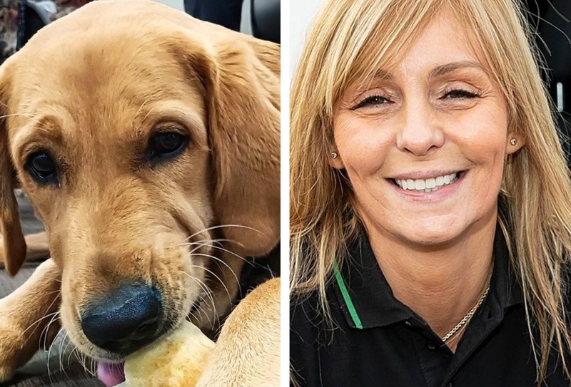 Guide Dogs trainee pup Ralph and Jackie Meredith of Ovenu Codsall