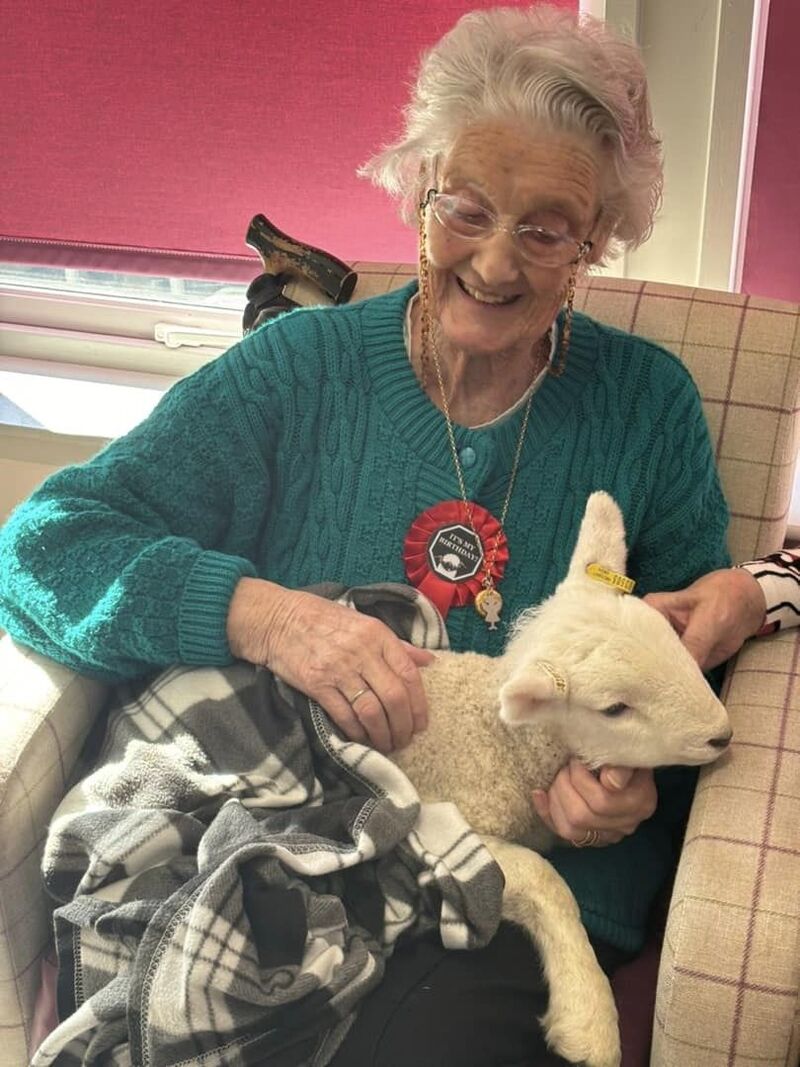 Jimmy the lamb was a lovely birthday surprise for Cranford care home resident Sheila